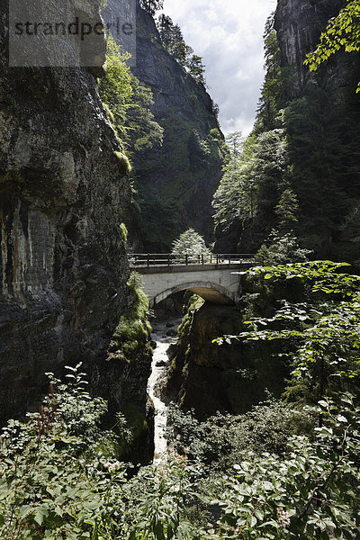 Schaufelschlucht zwischen Dornbirn und Ebnit  Bregenzer Wald  Vorarlberg  Österreich  Europa