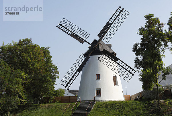 Windmühle in Podersdorf am Neusiedler See  Burgenland  Österreich  Europa