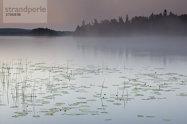 Schärenküste in Sotenäs  Schweden