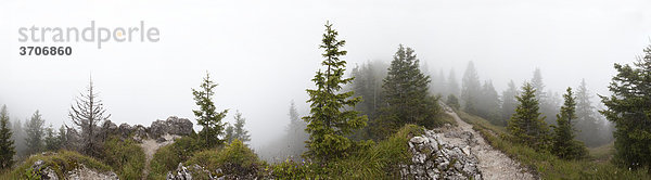 Landschaft im Nebel  Panorama