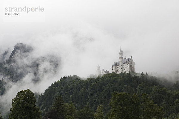 Schloss Neuschwanstein im Nebel  Bayern  Deutschland