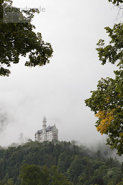 Schloss Neuschwanstein im Nebel  Bayern  Deutschland