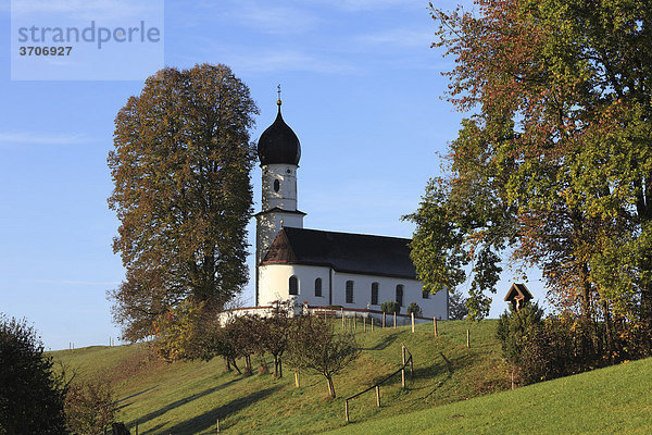 Kirche St. Maria in Oberbuchen bei Bad Heilbrunn  Oberbayern  Bayern  Deutschland  Europa