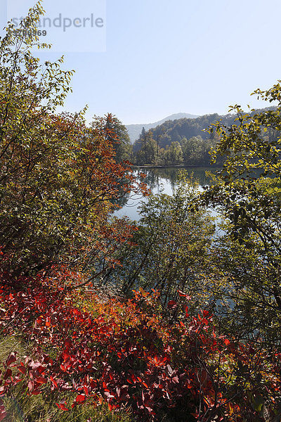 Galovac-See im Herbst  Nationalpark Plitwitzer Seen  Plitvicer Seen  Plitvicka Jezera  Lika-Senj  Kroatien  Europa