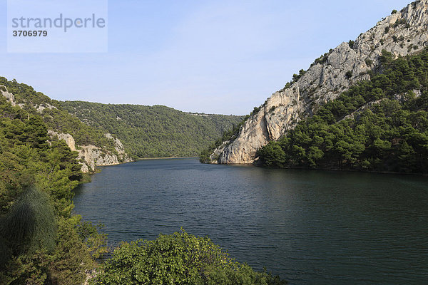 Fluss Krka bei Skradin  Nationalpark Krka  Dalmatien  Kroatien  Europa