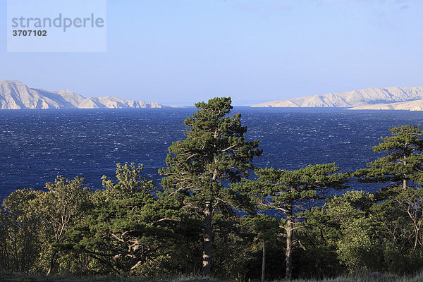 Küste vor Senj  Blick auf Inseln Prvic und Krk  Kvarner Bucht  Adria  Kroatien  Europa