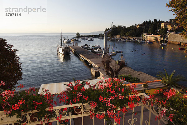 Blick von Balkon mit Geranien auf Fischerhafen  Fischerboote  Ika  Istrien  Kvarner  Kroatien  Europa