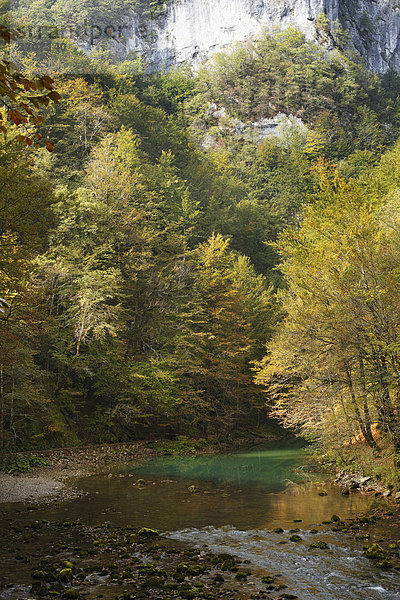 Kupa-Quelle  Fluss Kupa  Nationalpark Risnjak  Gorski Kotar  Kroatien  Europa
