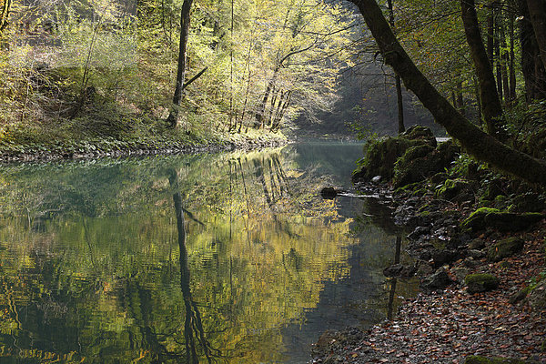 Kupa-Quelle  Nationalpark Risnjak  Gorski Kotar  Kroatien  Europa