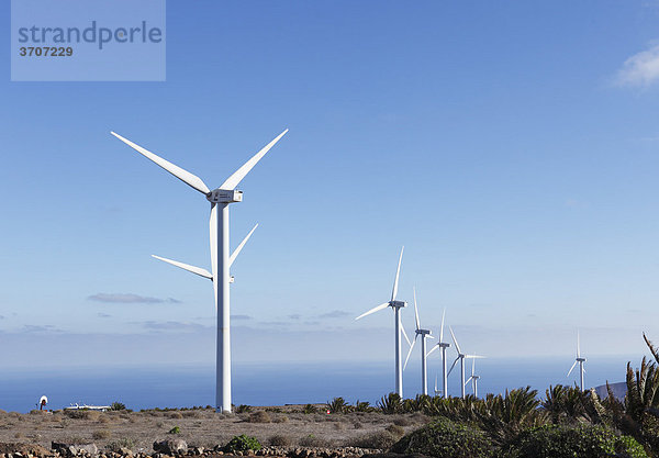 Windpark Parque eolico de Lanzarote  Los Valles  Temeje  Kanarische Inseln  Kanaren  Spanien  Europa