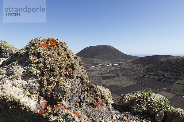 Flechten auf Felsen  Risco de Famara  Guinate  hinten Vulkan Monte Corona  Lanzarote  Kanaren  Kanarische Inseln  Spanien  Europa