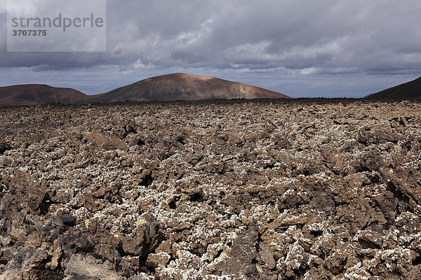 Vulkan MontaÒa Ortiz  Lavafeld mit Flechten  Lanzarote  Kanaren  Kanarische Inseln  Spanien  Europa