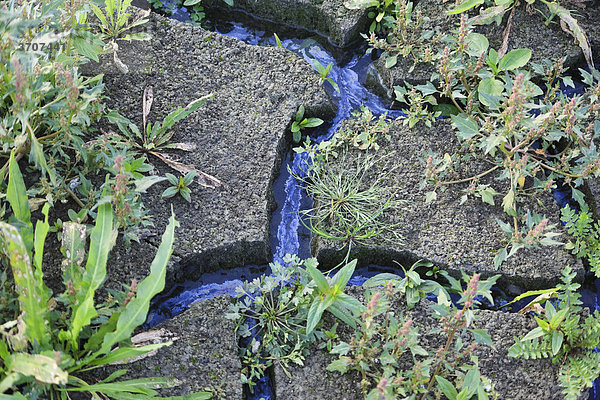 Wasser mit Öl in Fugen von getrockneter Erde