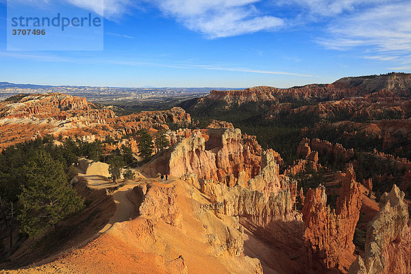 Blick in den Bryce Canyon  Utah  USA  Nordamerika
