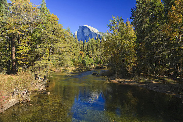 Curry  Yosemite Village  Yosemite Nationalpark California  USA  Nordamerika