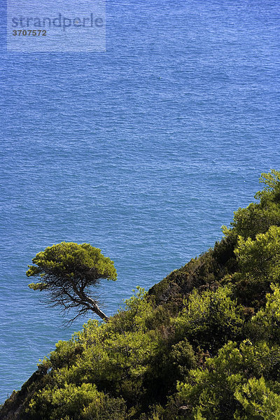 Küste bei Peniscola  Costa Azahar  Spanien  Europa