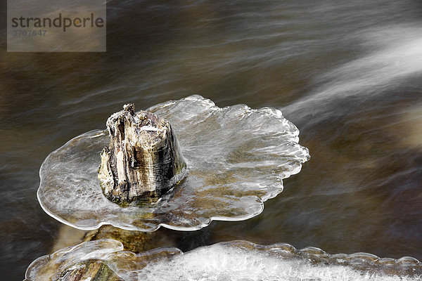 Ein Stück Holz mit Eis umgeben in einem Bach