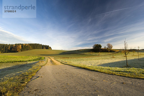 Weg in eine Landschaft mit Feldern und Wald  blauer Himmel  Landkreis Friedberg-Aichach  Bayern  Deutschland  Europa