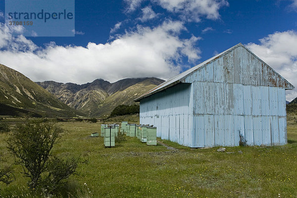 Blaue Wellblechhütte mit Bienenstöcken auf einer Wiese  Rainbow Track  Südinsel  Neuseeland
