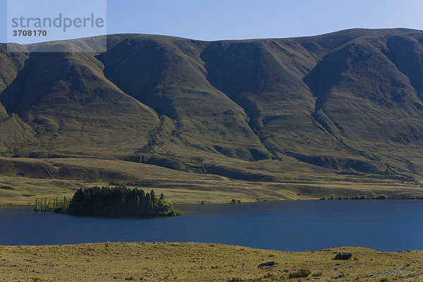 Insel auf dem Lake Clearwater mit Blick auf die Berge der Dogs Range  Südinsel  Neuseeland