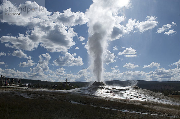 Eruption eines Geysirs  Lion Geyser  am Upper Geyser Basin  Yellowstone Nationalpark  Wyoming  USA