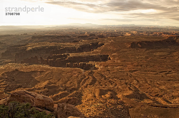 Grand View Point Overlook kurz nach Sonnenaufgang  Canyonlands Nationalpark  Moab  Utah  USA