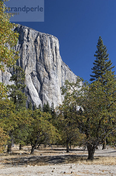 El Capitan  Yosemite Nationalpark  Kalifornien  USA