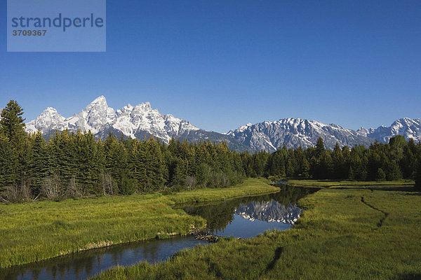 Grand Teton Range Gebirgszug und Biberdamm  Snake River Fluss  Grand Teton National Park  Wyoming  USA