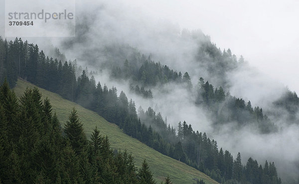 Nebelstimmung im Herbst  Alpen  Gerlos  Österreich  Europa