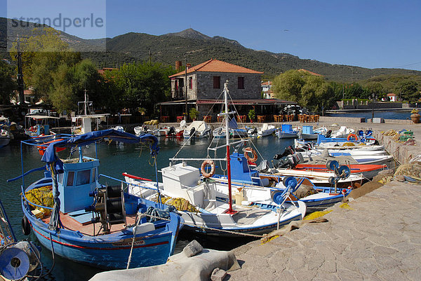Kleine Fischerboote im kleinen Hafen von Skala Sikaminia  Insel Lesbos  Ägäis  Griechenland  Europa