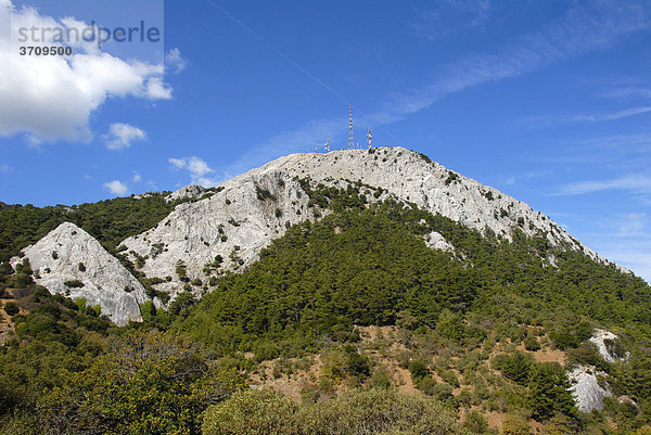Weißer Fels über Bergwald  Berg Olymbos mit Sendemast  Lesbos  Ägäis  Griechenland  Europa