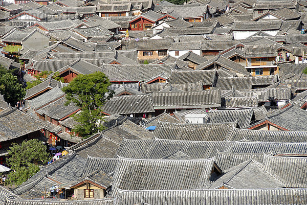 Mit Ziegeln gedeckte Dächer  Altstadt von Lijiang  UNESCO Weltkulturerbe  Provinz Yunnan  Volksrepublik China  Asien