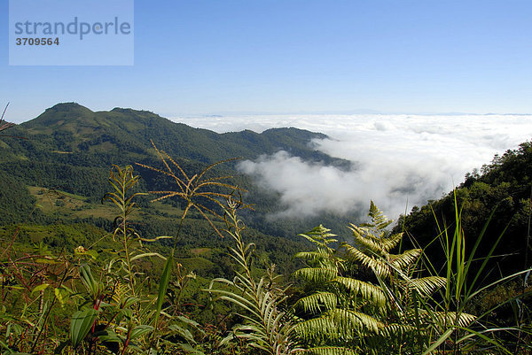 Grüne Berglandschaft  Berge über Wolken  Nebel  bei Phongsali Stadt  Phongsali Provinz  Phongsaly  Laos  Südostasien  Asien