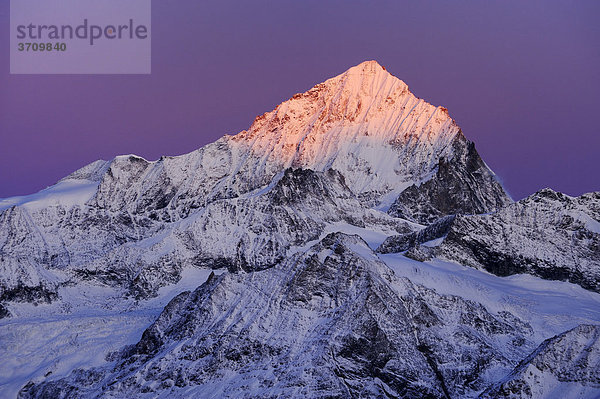 Dent Blanche im Morgenrot  Zermatt  Wallis  Schweiz  Europa