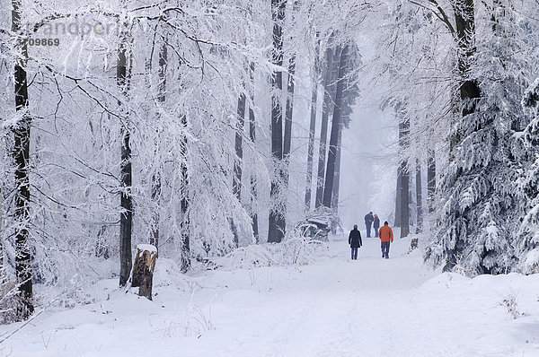 Spaziergänger im tief verschneiten Wald  Lindenberg  Muri  Schweiz  Europa