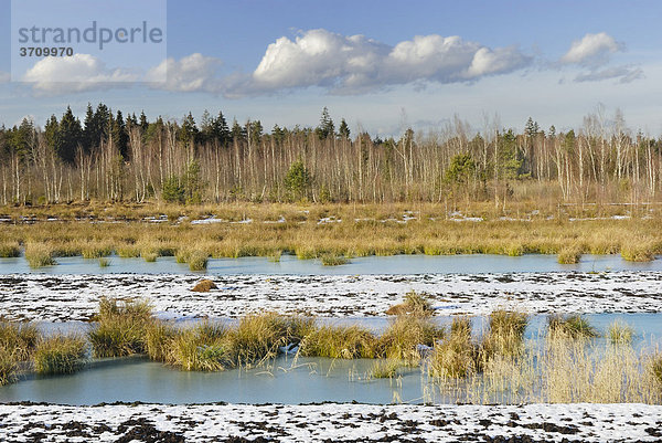 Moorlandschaft mit zugefrorenem Teich  bei Rosenheim  Inntal  Bayern  Deutschland  Europa