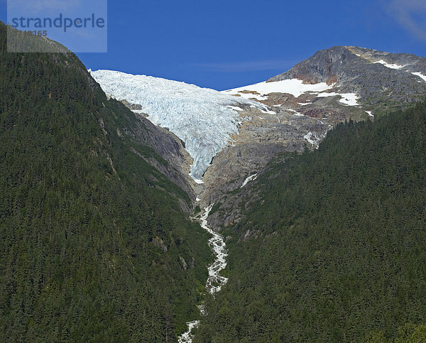 Irene Gletscher  in der Nähe von Finnegan's Point  Pacific Northwest Coastal Rain Forest  Regenwald  auf dem historischen Chilkoot Pfad  Chilkoot Pass  Alaska  USA