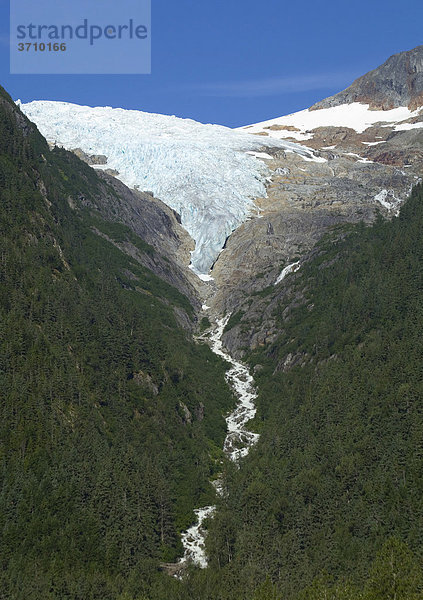 Irene Gletscher  in der Nähe von Finnegan's Point  Pacific Northwest Coastal Rain Forest  Regenwald  auf dem historischen Chilkoot Pfad  Chilkoot Pass  Alaska  USA