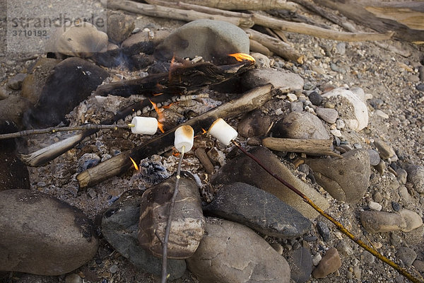 Marshmallows rösten am Spieß  Lagerfeuer  Feuer  oberer Liard River Fluss  Yukon Territory  Kanada