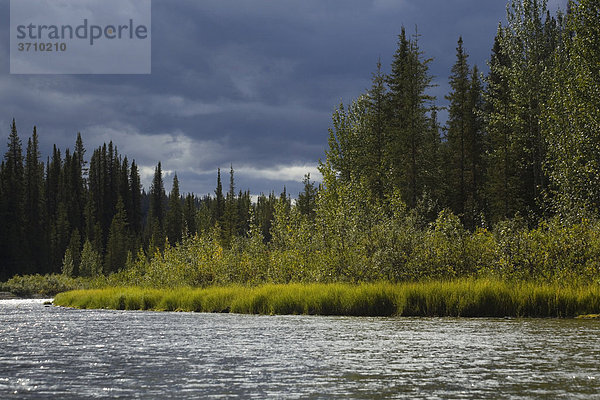 Abendlicht  Ufer  dunkle Wolken  oberer Liard River Fluss  Yukon Territory  Kanada