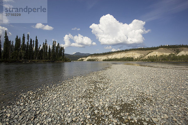 Kiesbank am Teslin River  von Wasser geformte Landschaft  hoher Prallhang  hinten Erosion  Yukon Territory  Kanada