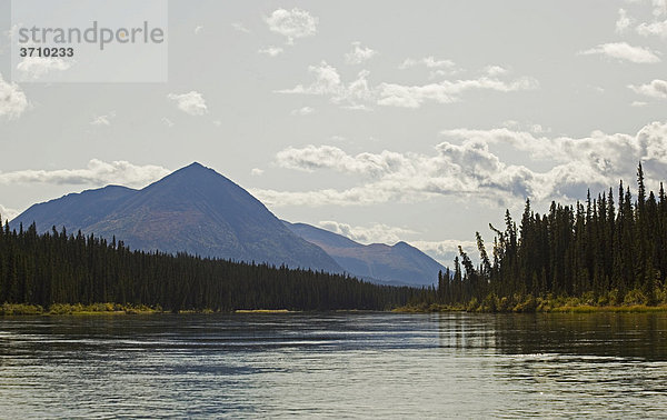 Takhini River  hinten der Mount Vanier  Yukon Territory  Kanada