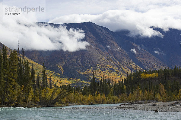 Indian Summer  Blätter in Herbstfarben  Hügel  Annie Lake Road  Wheaton River  Küstengebirge dahinter  Yukon Territory  Kanada