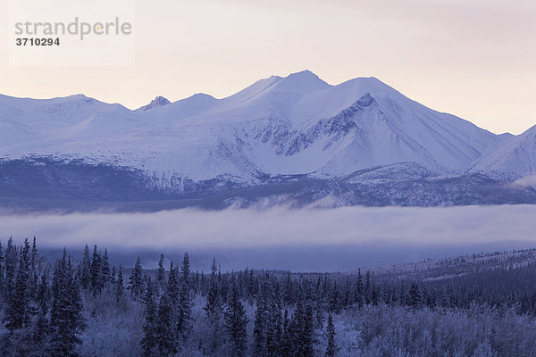 Montana Mountain  Eis-Nebel  tief hängende Wolken steigen vom Lake Bennett auf  Carcross  Yukon Territory  Kanada