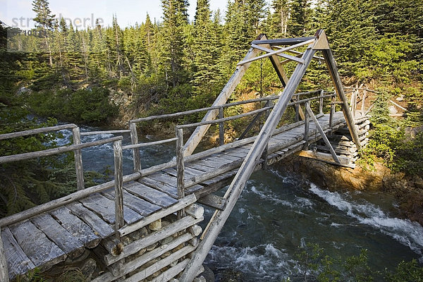 Hölzerne Fußbrücke  Canyon  Chilkoot Trail Wanderweg  Chilkoot Pass  Yukon Territory  British Columbia  BC  Kanada