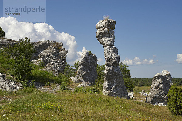 Raukar  Kalksteinsäulen auf der Insel Gotland  Schweden  Skandinavien  Europa