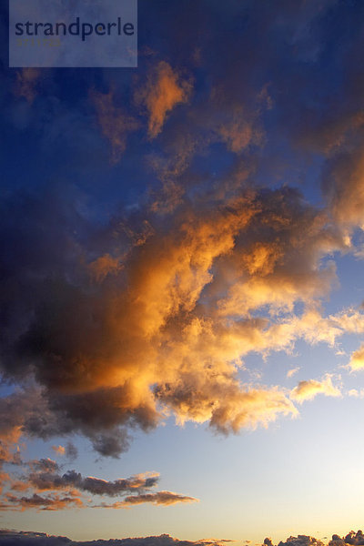 Dramatischer Himmel mit von unten angestrahlten roten Wolken im letzten Abendlicht bei Sonnenuntergang  Landschaft im Naturschutzgebiet Oberalsterniederung  Tangstedt  Schleswig-Holstein  Deutschland  Europa