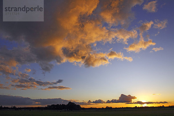 Dramatischer Himmel mit von unten angestrahlten Wolken im letzten Abendlicht bei Sonnenuntergang  Landschaft im Naturschutzgebiet Oberalsterniederung  Tangstedt  Schleswig-Holstein  Deutschland  Europa