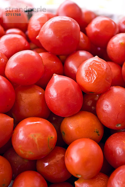 Pachino Tomaten  kleine rote Kirschtomaten aus dem Süden Italiens  Italien  Europa