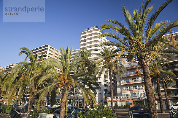 Hotels am Yachthafen von Palma de Mallorca  Mallorca  Balearen  Mittelmeer  Spanien  Europa